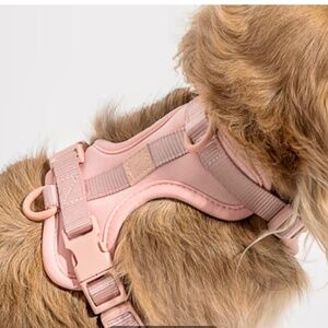 Wild One Cushioned Dog Harness